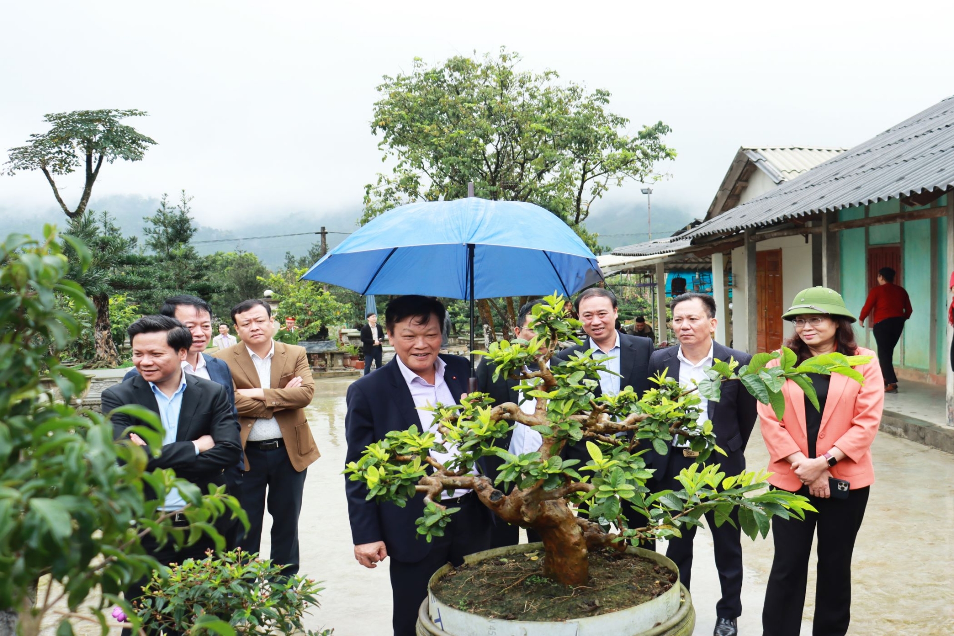 Các đồng chí lãnh đạo đoàn công tác Trung ương thăm làng hoa cây cảnh thôn Mỹ Tân