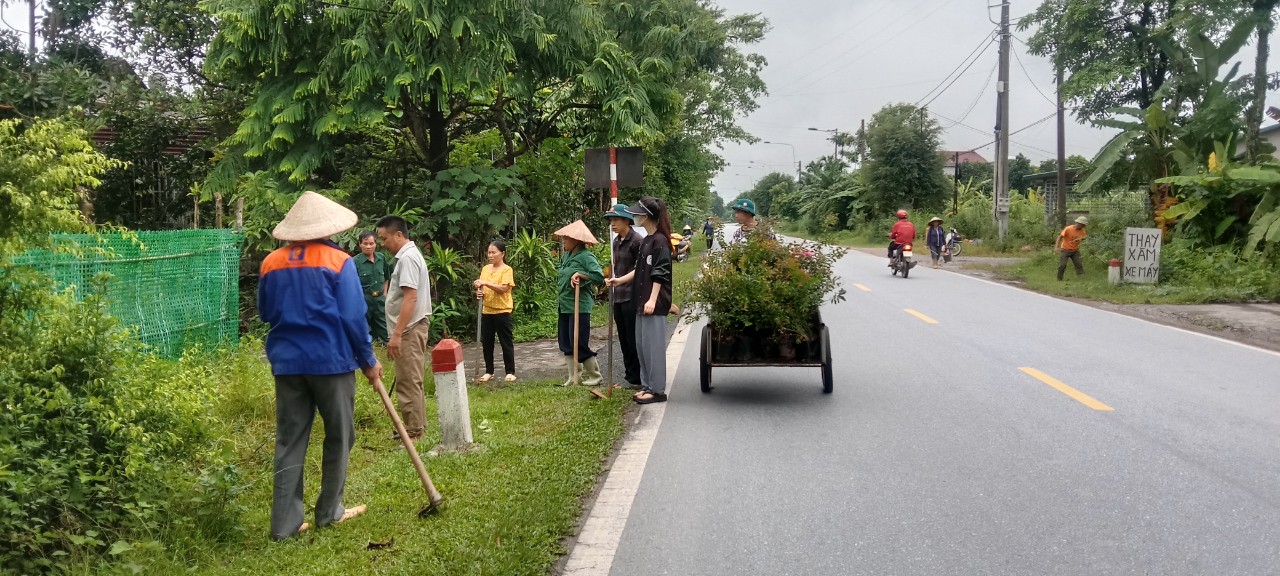 Xã Tân Quang tiếp tục triển khai trồng bổ sung cây hoa Tường vi dọc tuyến Quốc lộ và các trục đường thôn, xây dựng các tuyến đường hoa xanh, sạch, đẹp.